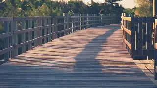 Paseo Tablado en Isabela footage Cinematic