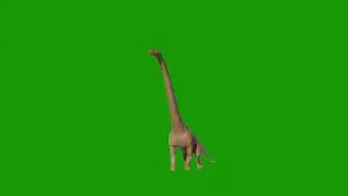 dinosour on #greenscreen #viral