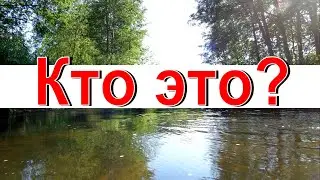 Кто это? Под водой