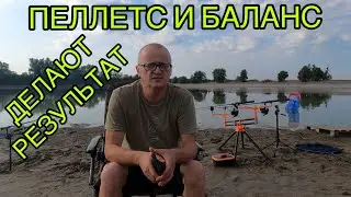 ПЕЛЛЕТС И БАЛАНС ДЕЛАЮТ РЕЗУЛЬТАТ..РИБАЛКА НА ФЛЕТ  19.08. 2024