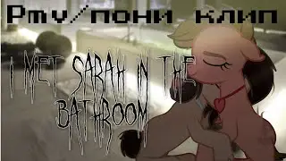 pmv/пони клип - I met Sarah in the bathroom (pony meme)
