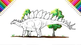How to Draw Stegosaurus | Drawing and Coloring