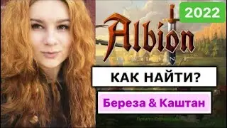 Как выглядит Береза и КАШТАН?  ! Альбион Онлайн! Просто Стримерша