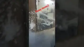 Пенная вечеринка теперь не проблема, Ивлеева жду в гости :-D