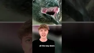 Scariest Animal Mouths