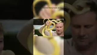 Snake Hybrid 