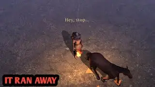Completing Stable + Catching Horse | Grim Soul Survival