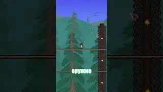 Самые РЕДКИЕ предметы в ТЕРРАРИЯ Terraria