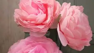 Обновленный фотозал Лофт