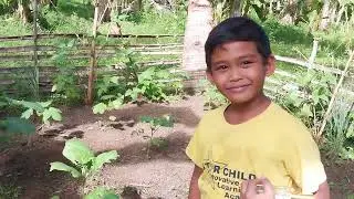 Buhay Probisya