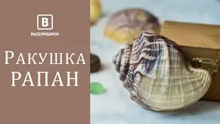 Мраморные свирлы. Техника мраморной заливки с использованием основы для свирлов. | Выдумщики.ру