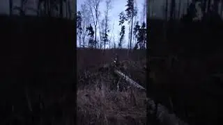 Как перейти через болото