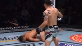 THE BEST UFC KNOCKOUTS 2022
