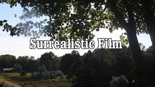 Chair, Cats, Fridge | Surrealist Short Film| 4:3