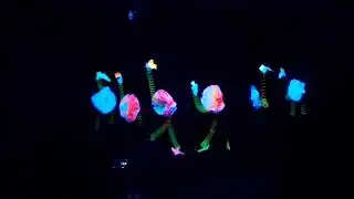 avestruces bailarinas