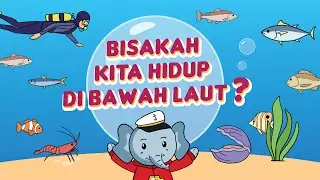 Apakah Kita Bisa Hidup di Bawah Laut? - Bibu Indonesia