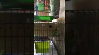 Play Time
