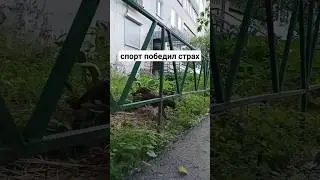 ЕХАЛ лОШАДЬ по Москве #баян #креатив #гармония #креативность #баянист #музыка #абсуурд #истории