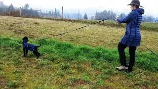 Sigma 100 yard fast track