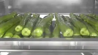 Miele пароварка.mpg