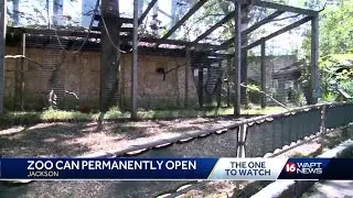 Jackson Zoo granted license