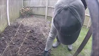 Time-lapse Dig Over