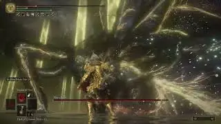 Beating Elden Beast
