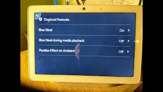 Blue Steel on Google Nest Hub Max - that is issuing commands Google Assistant without 