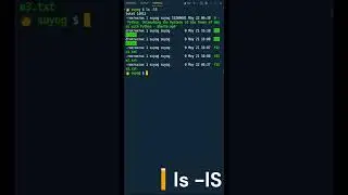 02 - Linux Command! How to sort files or directories by size? 