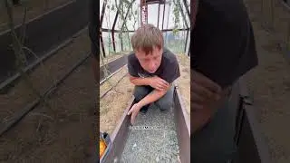 КАК СДЕЛАТЬ ЭСТЕТИЧНЫЕ ГРЯДКИ ??? 