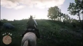 Red Dead Redemption 2 Утехи Ван Хорна
