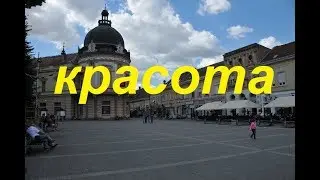 Один день в СРЕМСКОЙ МИТРОВИЦЕ