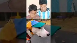 Try not to Laugh 😂