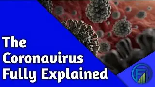 Corona Virus Explained: what is coronavirus? | Covid-19 | Impacts on global economy |FUNDS VESTING