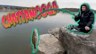 CHATTANOOGA FISHING TENNESSEE RIVER FUN
