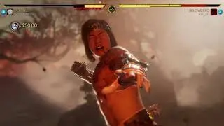 Birthday Morning Kombat