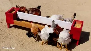 Como hacer un comedero casero y automático de madera para gallinas y pollos