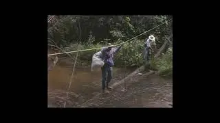 Nacimiento del Orinoco