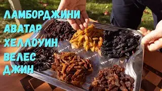 Изюм из Ламборджини ,Аватара и других сортов винограда.