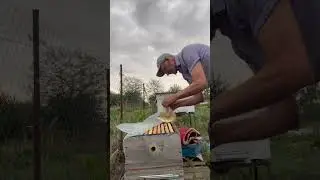 Раздавать пчелам сироп в пакетах, очень удобно!🐝🐝