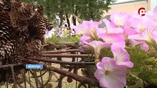Время новостей 2023.06.28