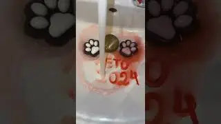 💔#лето #pomeranian #актив
