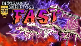 Fast Dinosaurus Skeletons