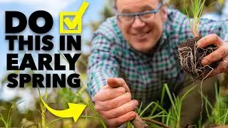 Garden Checklist: 10 Tasks To Set You Up For Your BEST Growing Season