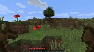 MINECRAFT JAVA EDITION TUTORIAL