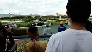 【22秋華賞】サウンドビバーチェ、大暴れ。【現地映像】