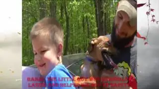 10 Most Incredible Dog Heroes of 2016