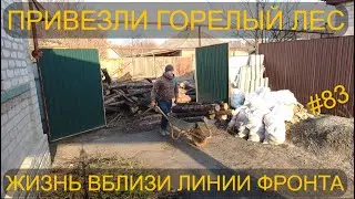 ПРИВЕЗЛИ ДРОВА ИЗ ГОРЕВШЕГО ЛЕСА. ЖИЗНЬ ВБЛИЗИ ЛИНИИ ФРОНТА.