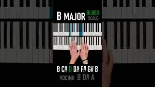 ✨Blues B major scale☕️ Easy🧉