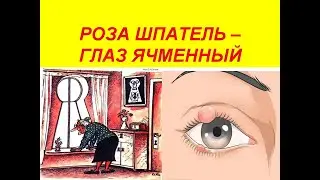 Роза Шпатель - глаз ячменный.
